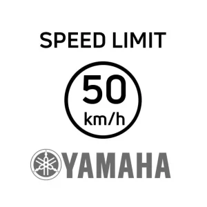 Ověřený YAMAHA chip tuning - navýšení rychlosti