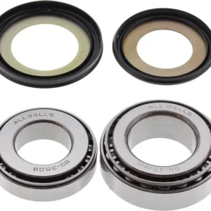 Luxusní Ložiska + těsnění řízení sada All Balls Racing SB22-1019 901.22.1019