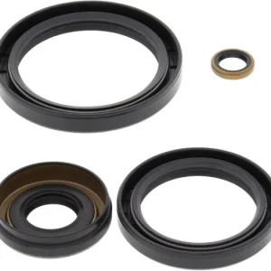 Profesionální Sada těsnění diferenciálu All Balls Racing DB25-2066-5 904.25.20665