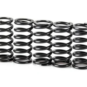 Časově Omezené Pružiny spojky sada MOTION STUFF STF-501-5001