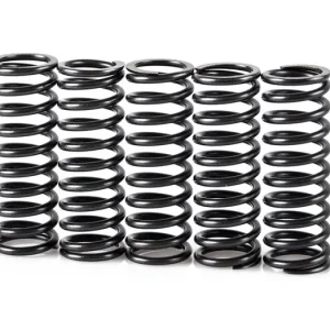 Pružiny spojky sada MOTION STUFF STF-501-5022 Cenová Bomba