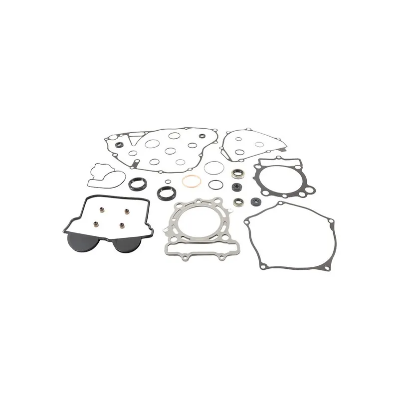 Sada těsnění motoru kompletní vč. gufer motoru WINDEROSA CGKOS 811984 Novinka