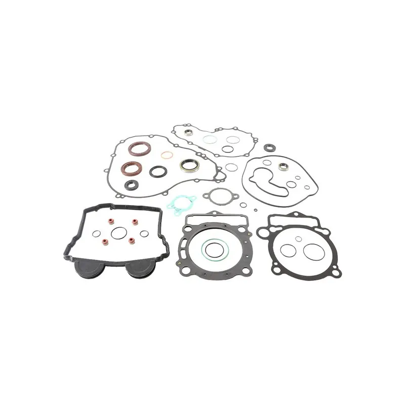 Zlevněný Sada těsnění motoru kompletní vč. gufer motoru WINDEROSA CGKOS 811373