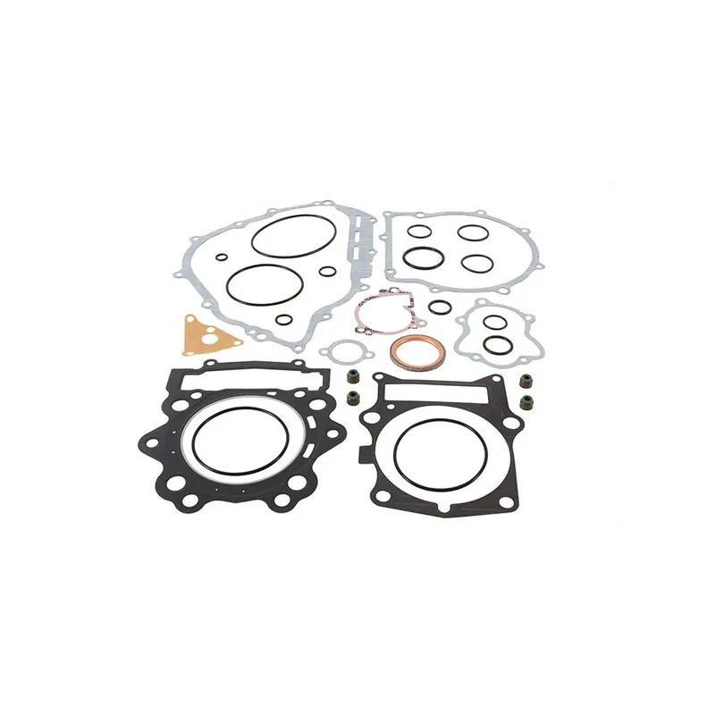 Sada těsnění motoru kompletní WINDEROSA CGK 808960 Prémiový