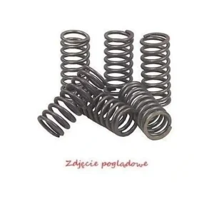 Novinka BRONCO spojkové pružiny YAMAHA XT 250 08-17, YZ 250 88-99, WR 250 94-97 (EBS081)