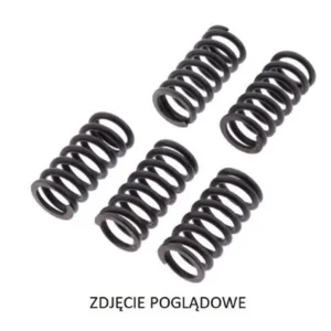 Spojkové pružiny SUZUKI RM 250 87, RM 80 87-88 Nejlepší Cena