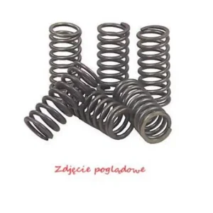 Akční Nabídka PSYCHIC spojkové pružiny KAWASAKI KLX 450R 08-12, KX 450F 06-11