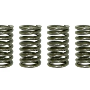 Tovární Cena PSYCHIC spojkové pružiny KAWASAKI KX 250 92-07 (EBS007)