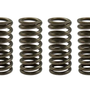 PSYCHIC spojkové pružiny HONDA CRF 450F 11-12 (EBS174) Cenová Bomba