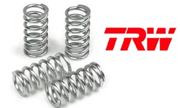 TRW ZF spojkové pružiny BMW F 650 GS 08-12, F 700 GS 16-20, F 800 GS / GS ADVENTURE 08-15, F 800 GT 13-16, F 800 R 09-20, F 800 S 07-10, F 800 ST 06-12, (EBS240) Objednat Nyní