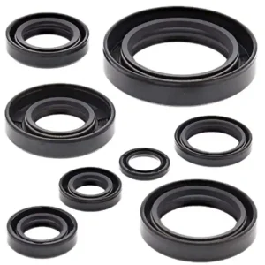 Cenový Hit WINDEROSA (VERTEX) sada gufer motoru HONDA CR250R 84