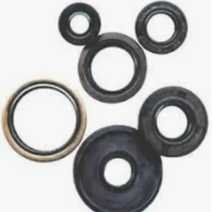 Levný WINDEROSA (VERTEX) sada gufer motoru KTM MINI ADV 50 97-00