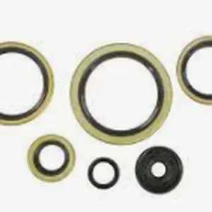 WINDEROSA (VERTEX) sada gufer motoru KTM EXC 300 94-03, EXC 360 96-97, EXC 380 98-02, MXC 300 94-03, MXC 360 96-97, MXC 380 98-01, SX 300 94, SX 360 96-97, SX 380 98-02 Nejlepší Volba