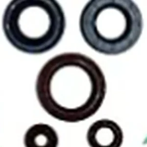 WINDEROSA (VERTEX) sada gufer motoru CAN-AM OUTLANDER DPS 450 EFI 15-20, OUTLANDER MAX DPS 450 EFI 15-20, DEFENDER 500 17-20, DEFENDER 500 DPS 17-20, DEFENDER 500 DPS CAMO 17, OUTLANDER MAX 450 6X6 19-20 - nahrazuje 822998 Akční Nabídka